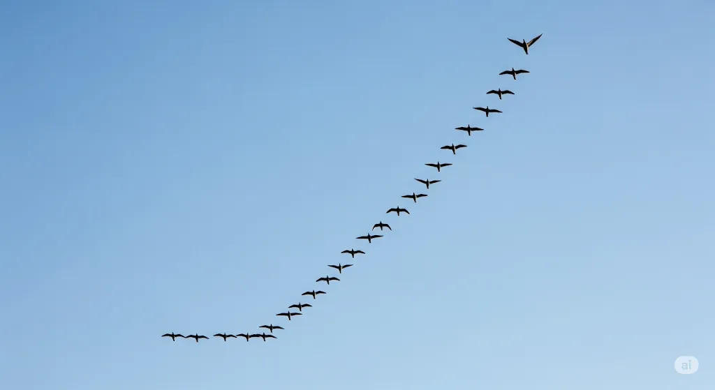 Leadership Background